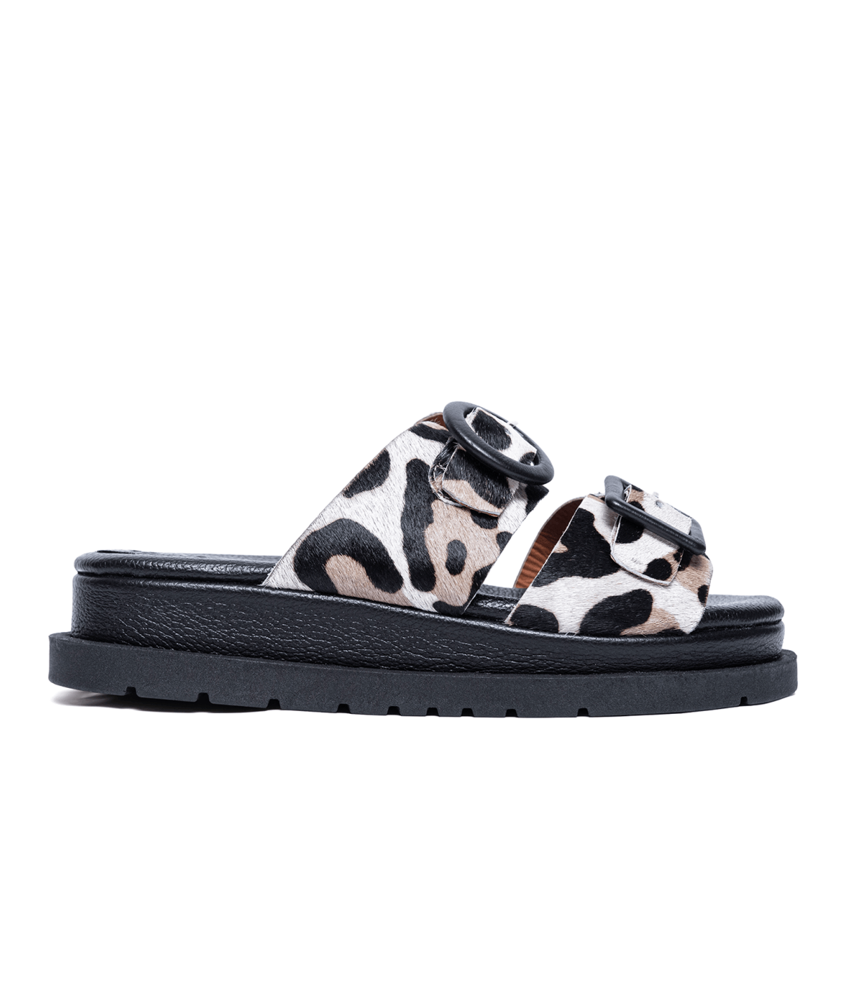 allegra leopardo